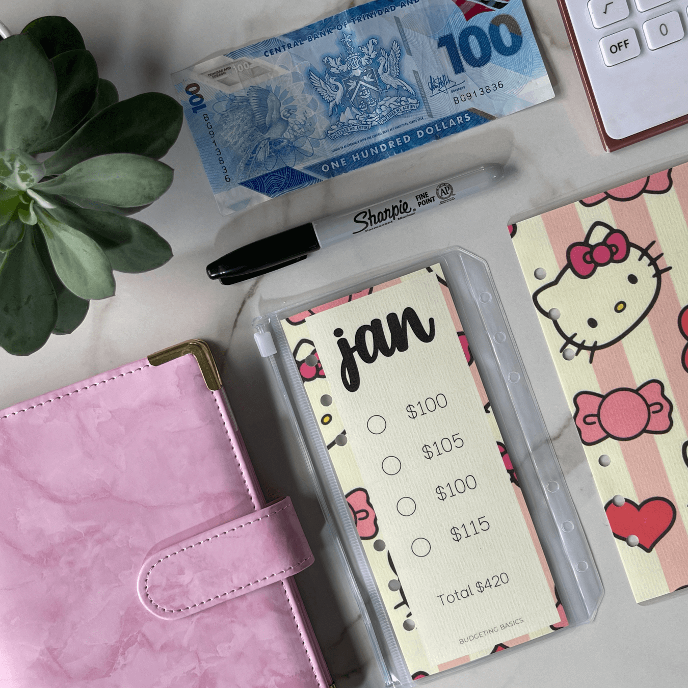Monthly Savings Binder | All Things Pink