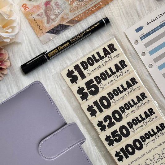 Denomination Savings Binder | Save $8000+