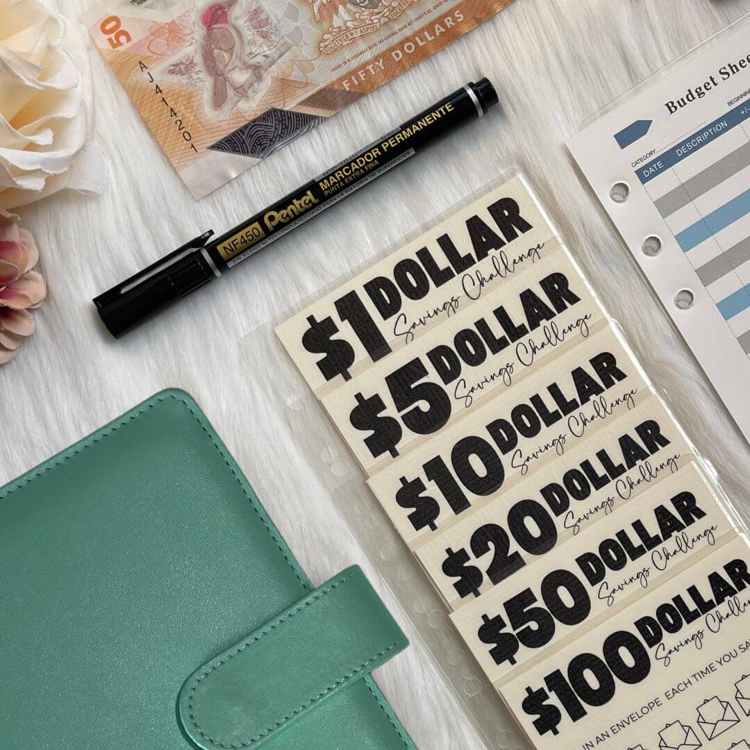 Denomination Savings Binder | Save $8000+