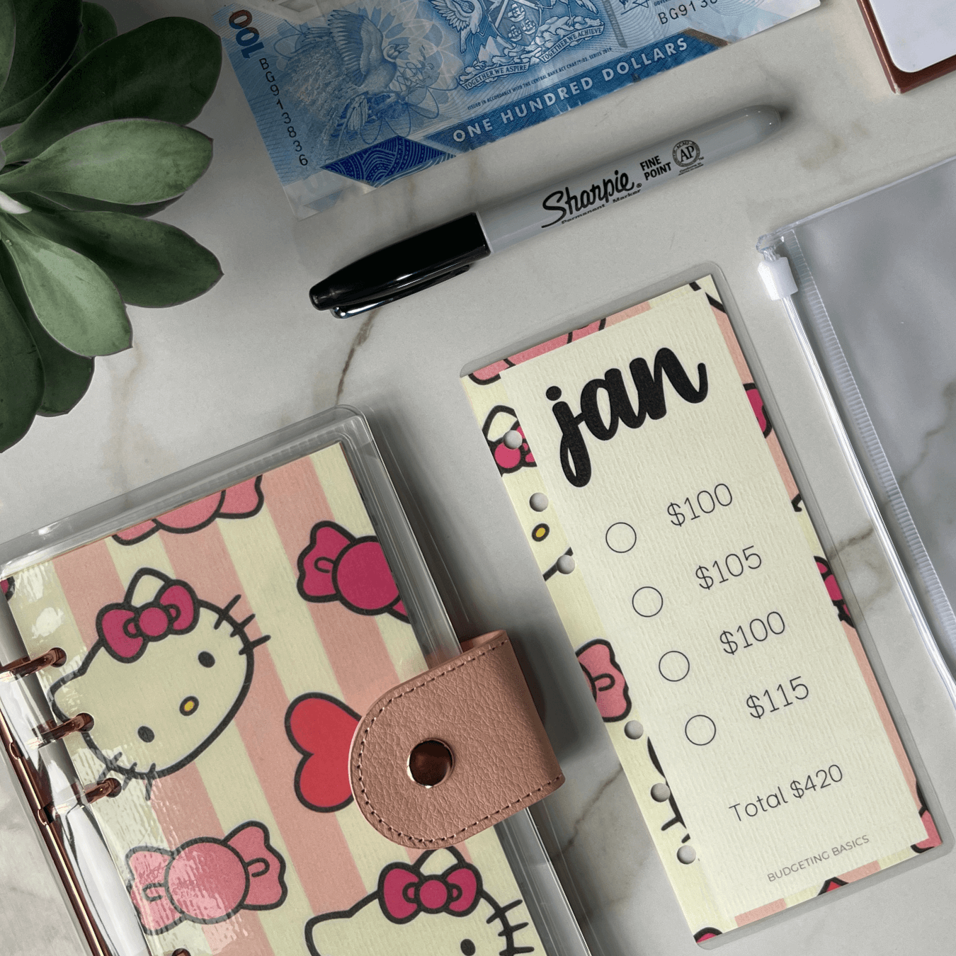 Monthly Savings Binder | Soft Cover