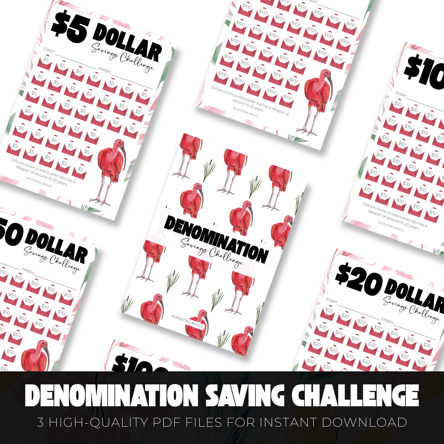 Denomination Saving Challenge | Digital Download