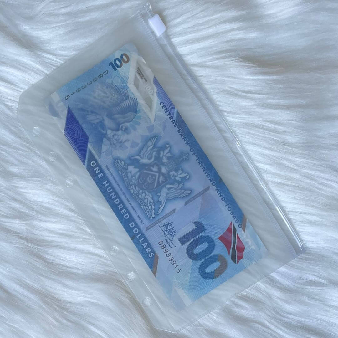 100 Envelope Savings Challenge Bundle
