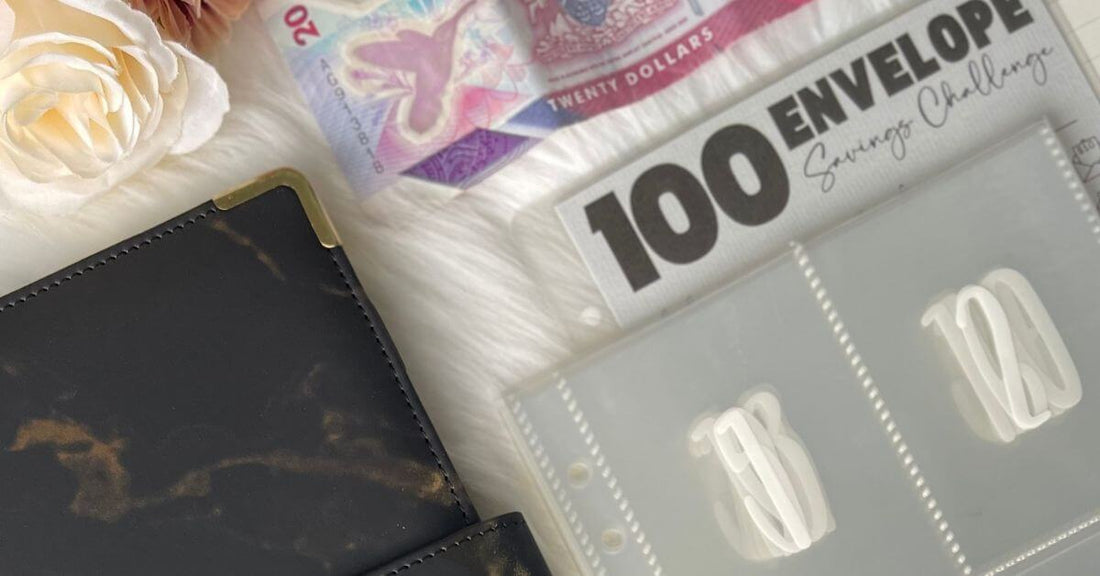 100 Envelope Savings Challenge Binder exclusively available at Budgeting Basics Trinidad and Tobago 