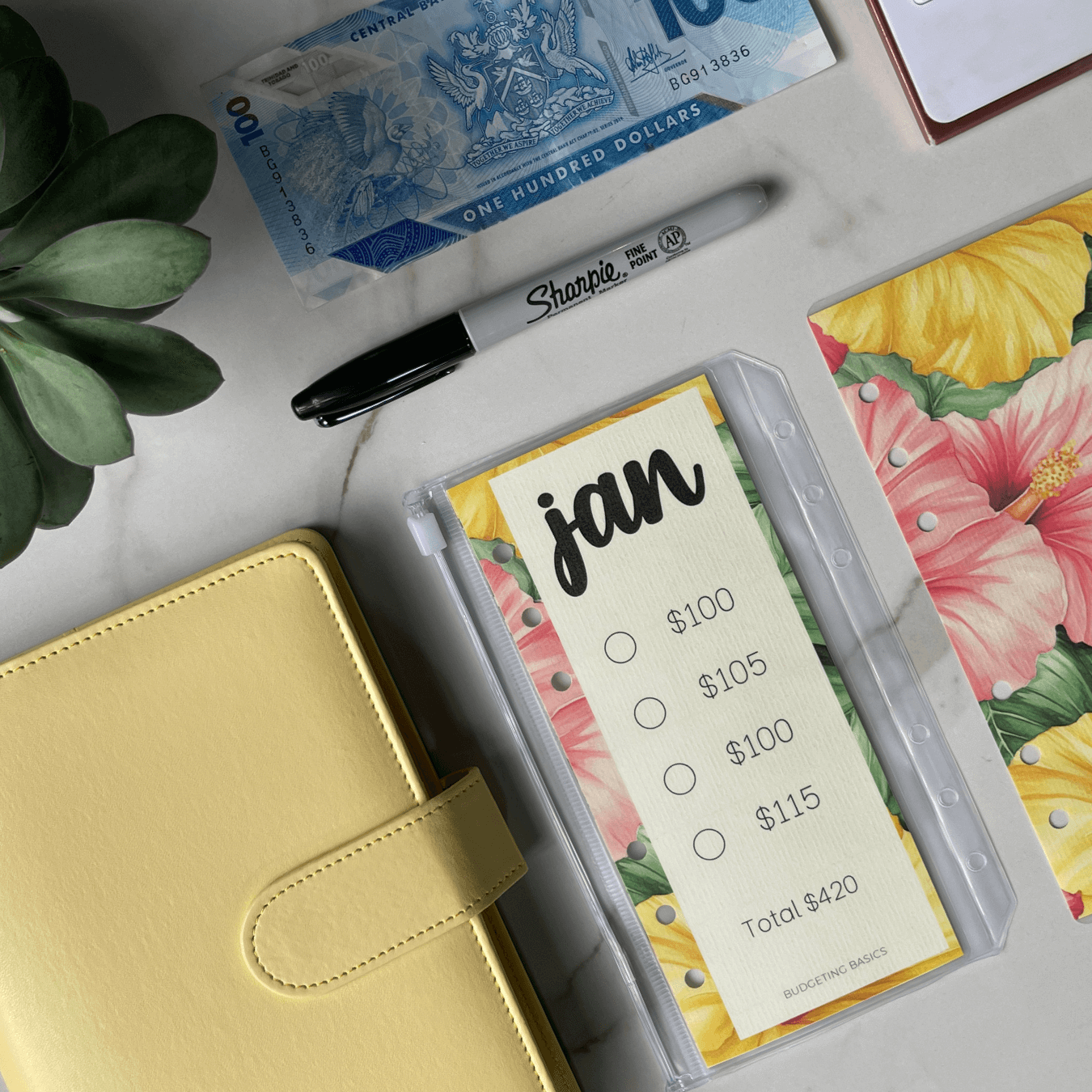 Hibiscus Monthly Savings Challenge Binder exclusively available at Budgeting Basics Trinidad and Tobago