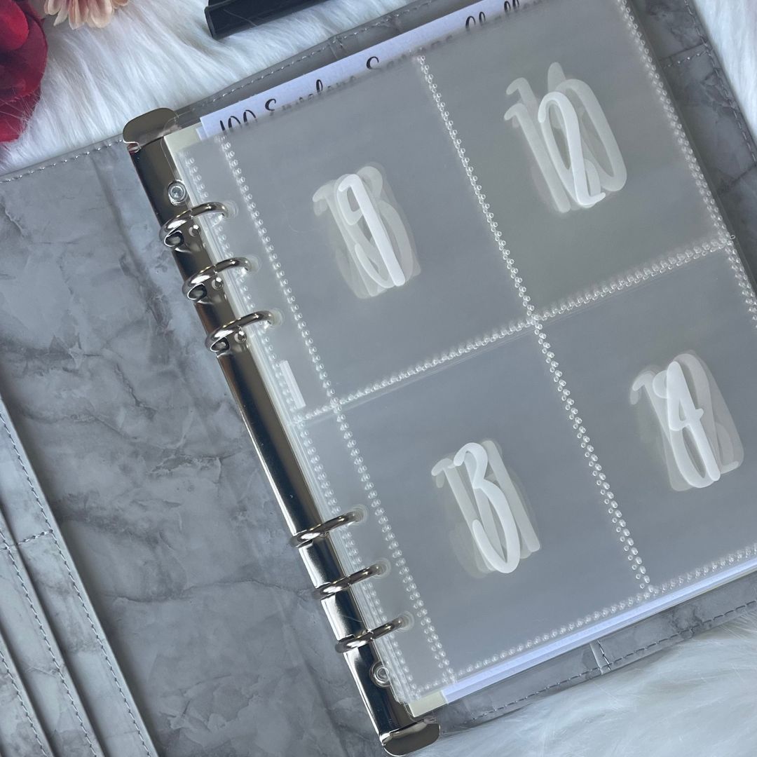 100 Envelope Savings Challenge