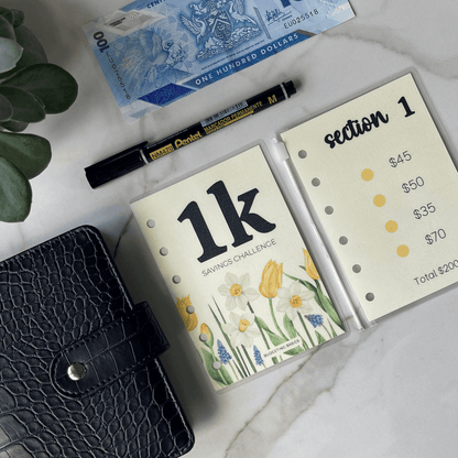 Mini Savings Challenge | Save $1000