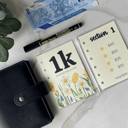 Mini Savings Challenge | Save $1000