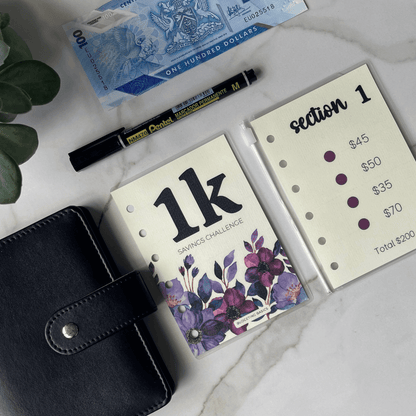 Mini Savings Challenge | Save $1000
