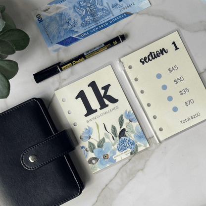 Mini Savings Challenge | Save $1000