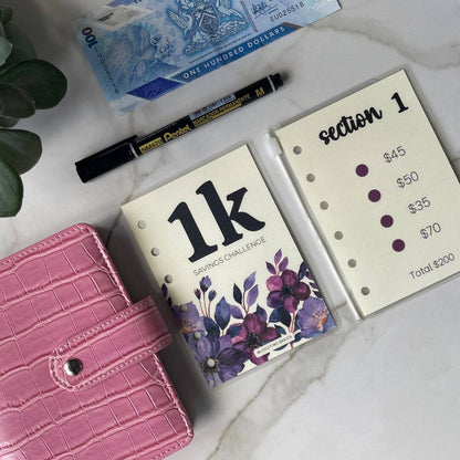 Mini Savings Challenge | Save $1000