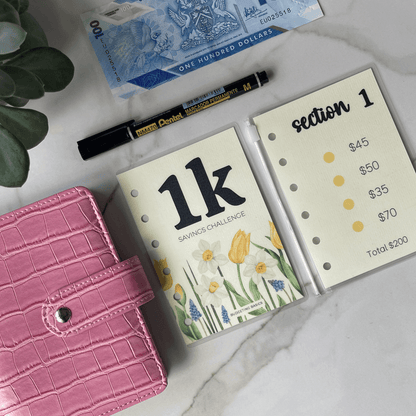 Mini Savings Challenge | Save $1000