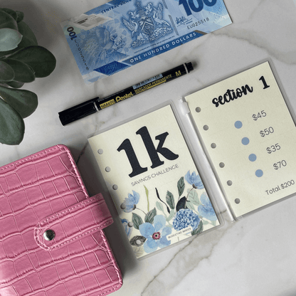 Mini Savings Challenge | Save $1000