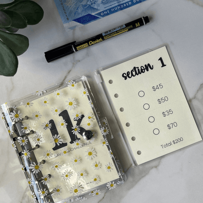 Mini Savings Challenge | Save $1000