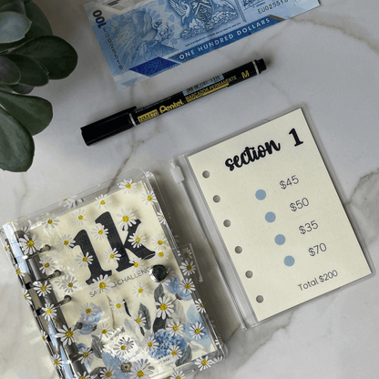 Mini Savings Challenge | Save $1000