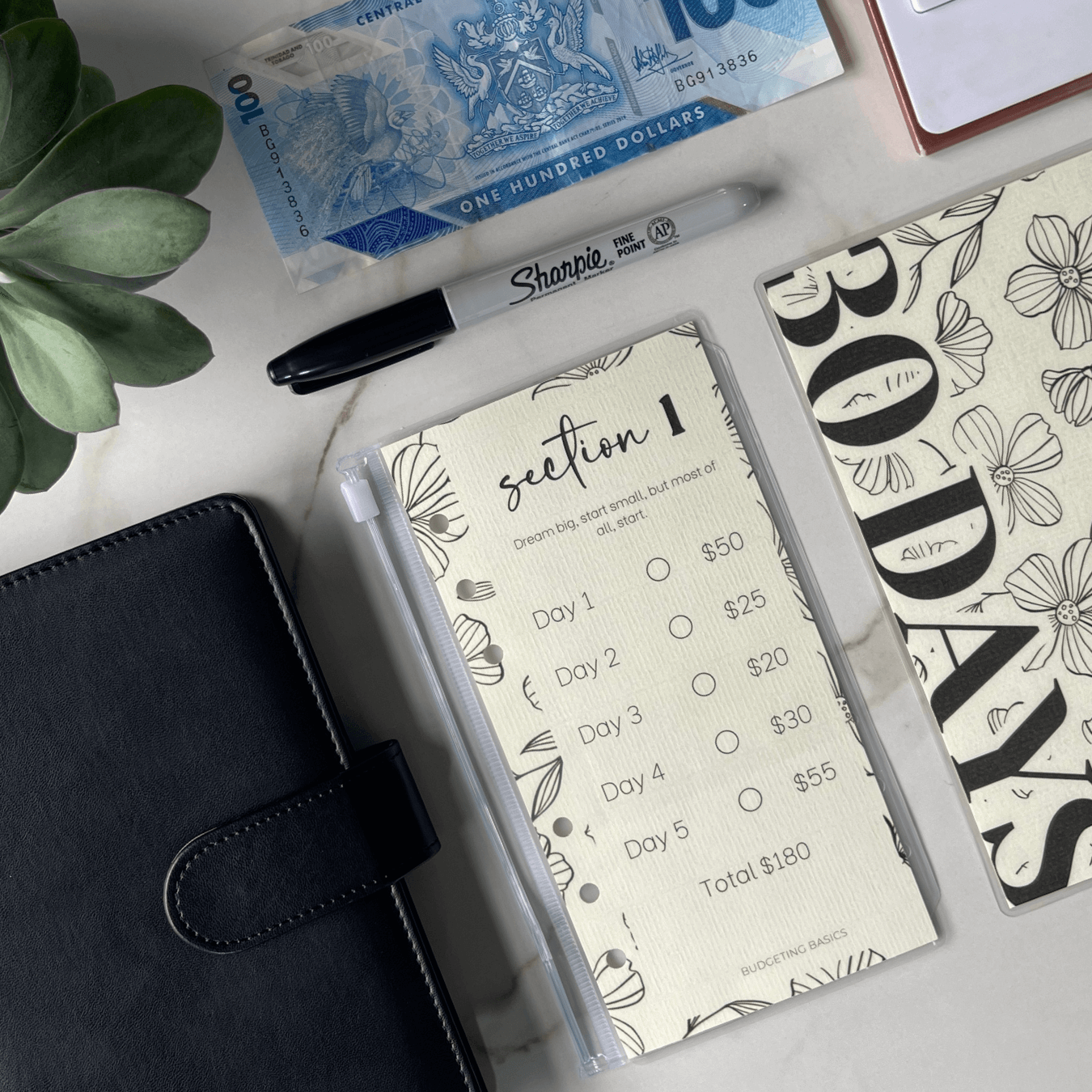 30 Day Savings Challenge Binder