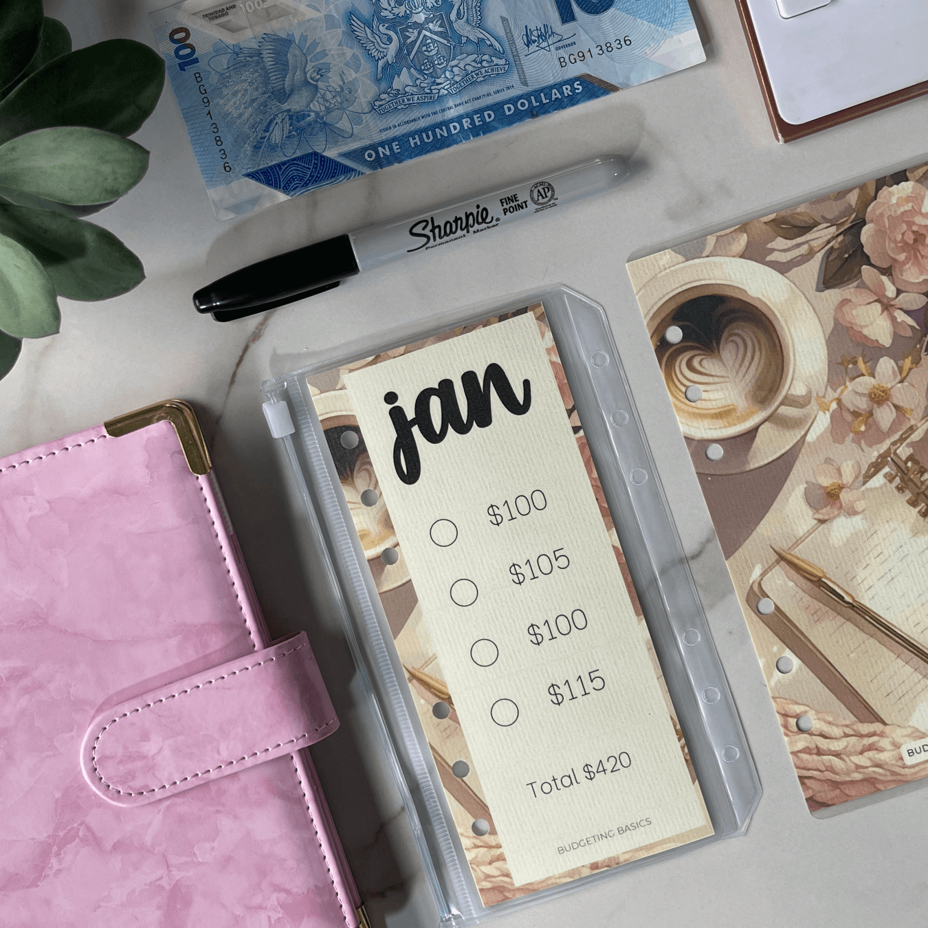 Monthly Savings Binder | All Things Pink