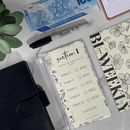 Bi-Weekly Savings Challenge Binder