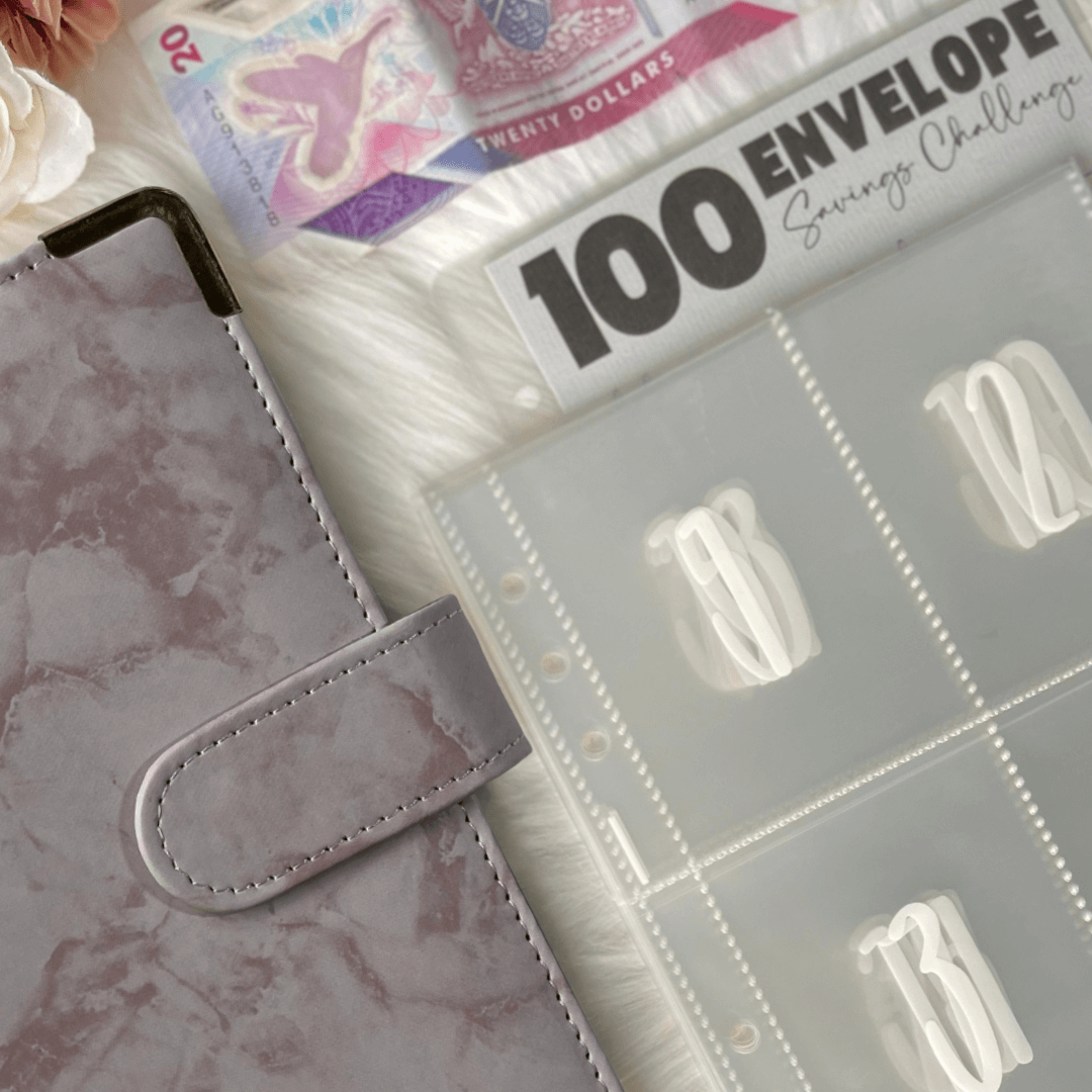 100 Envelope Savings Challenge