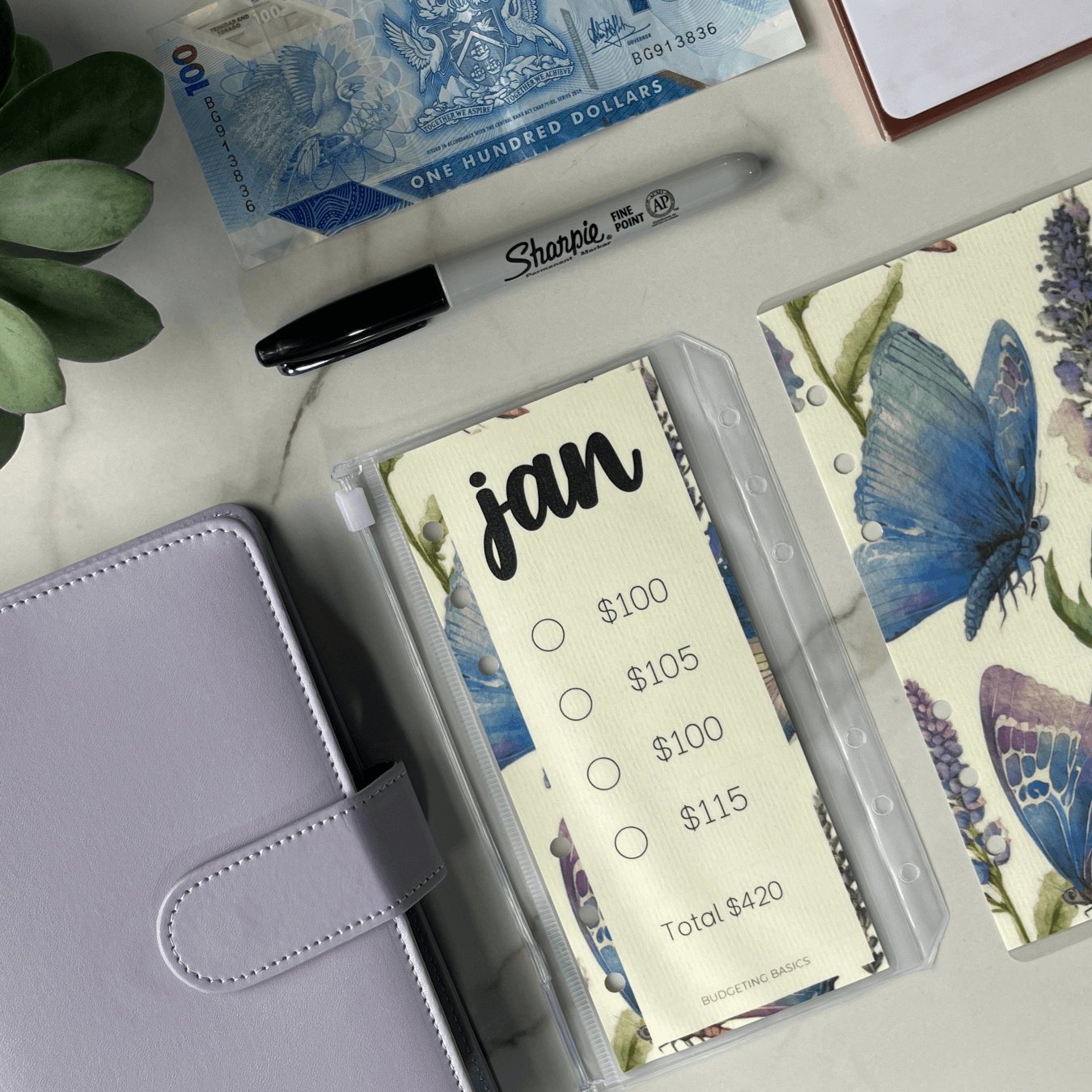 Monthly Savings Binder | Minimalist
