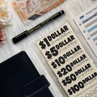 Denomination Savings Binder | Save $8000+