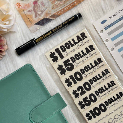 Denomination Savings Binder | Save $8000+