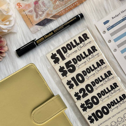 Denomination Savings Binder | Save $8000+