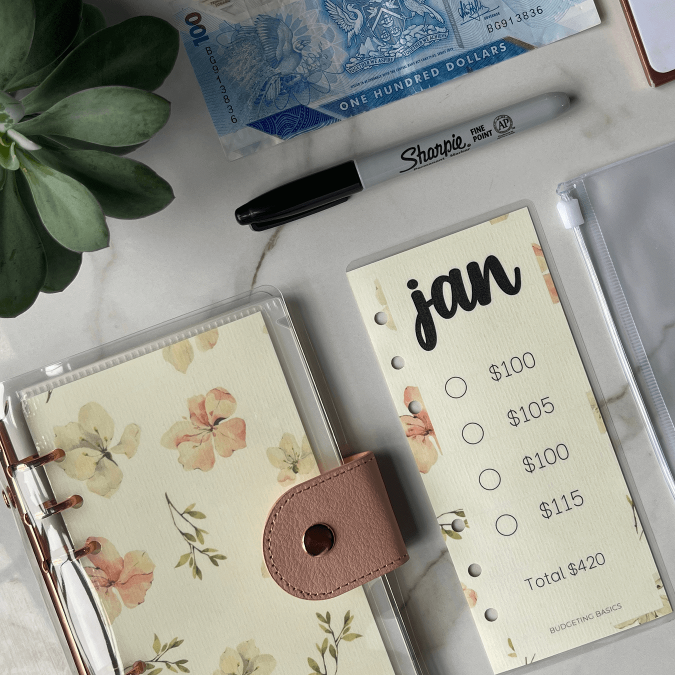 Monthly Savings Binder | Soft Cover