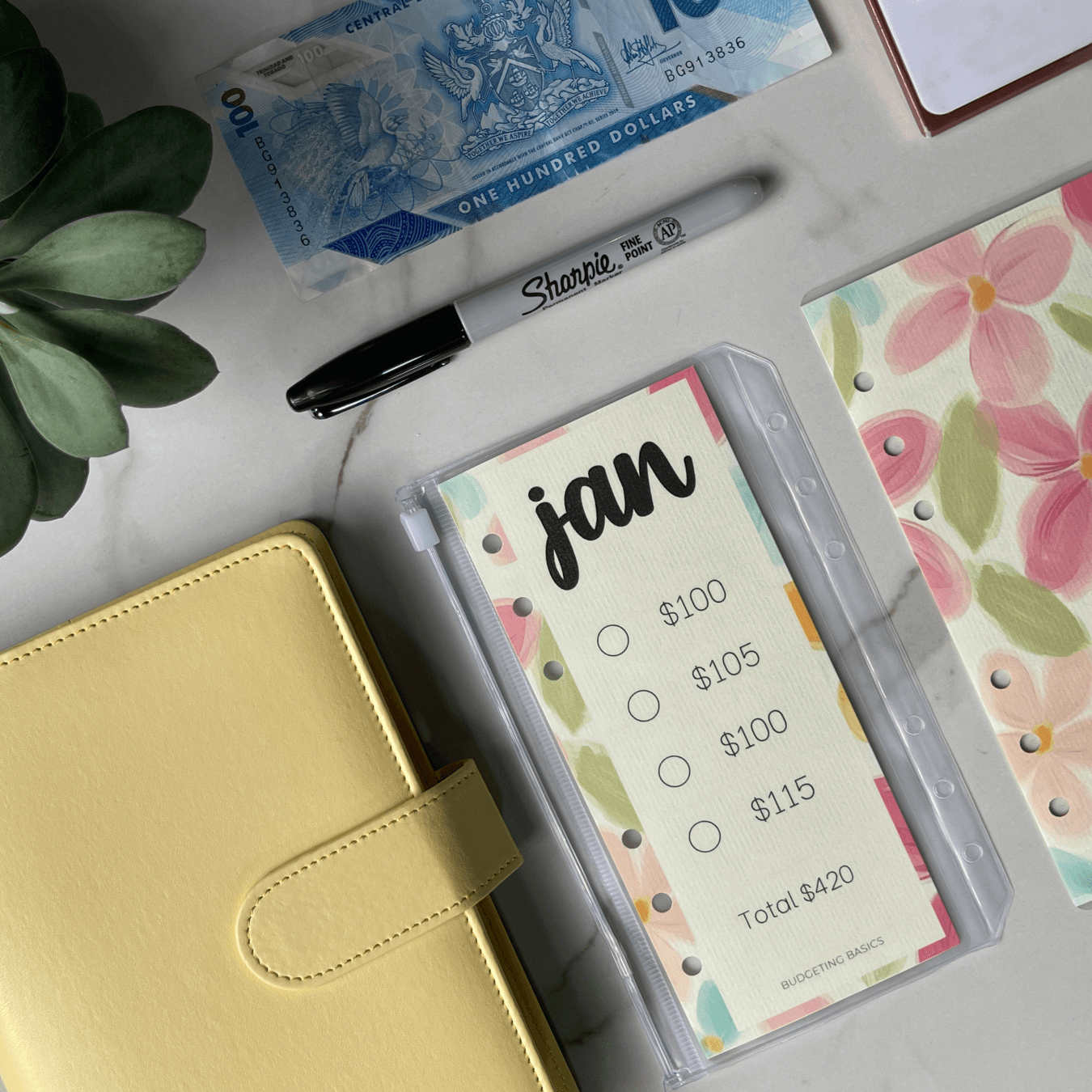 Monthly Savings Binder | Minimalist