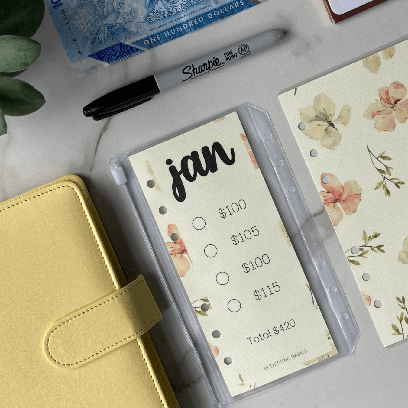 Monthly Savings Binder | Minimalist