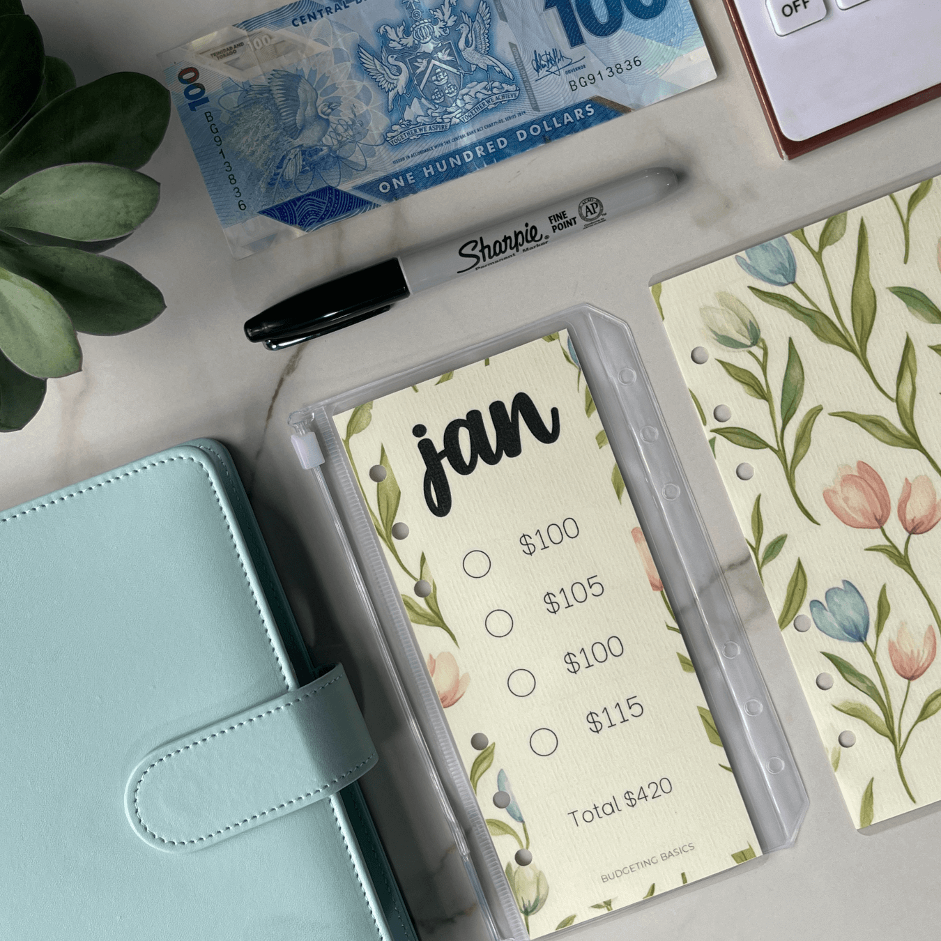 Monthly Savings Binder | Minimalist