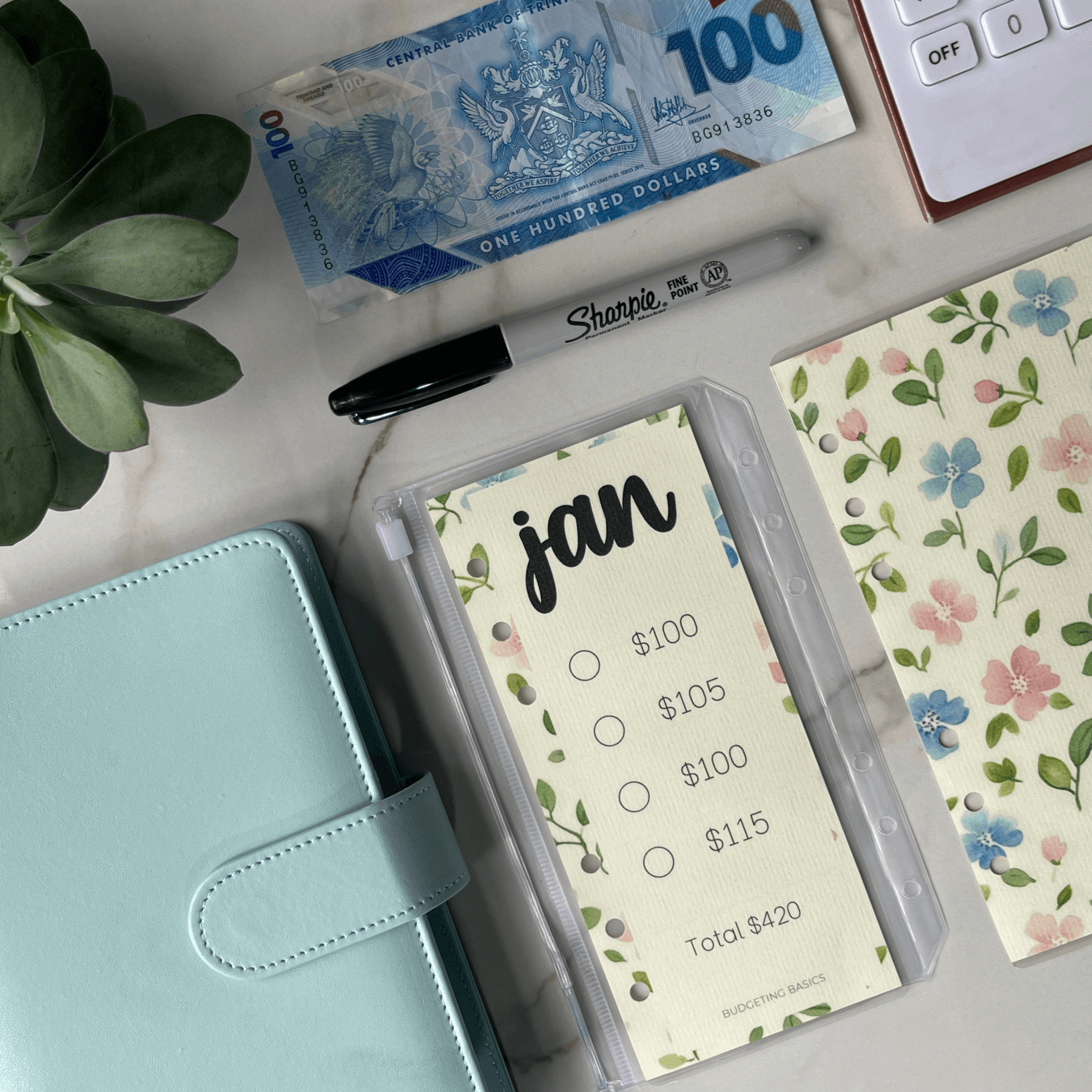 Monthly Savings Binder | Minimalist