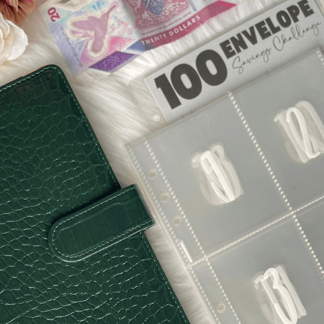100 Envelope Savings Challenge