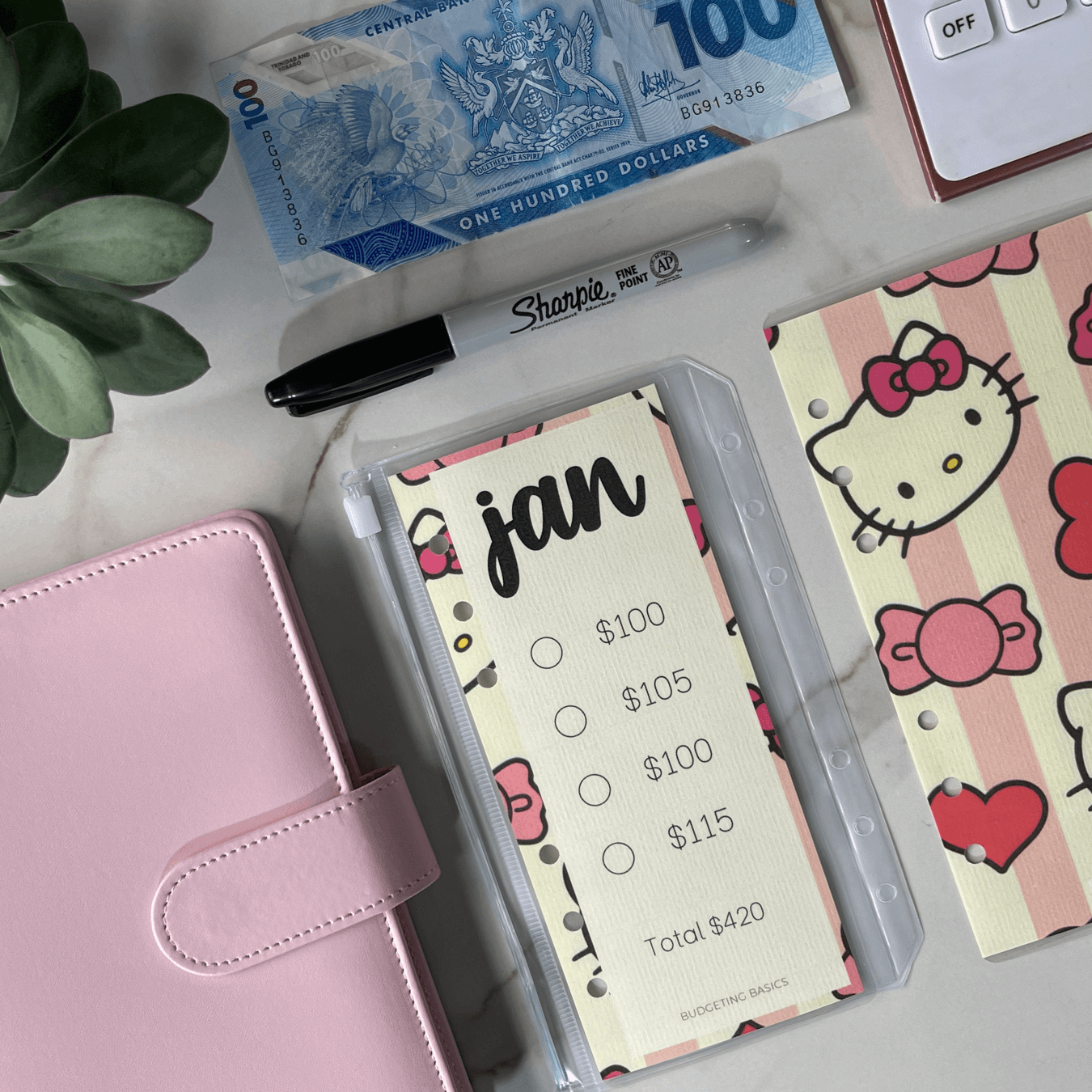 Monthly Savings Binder | Minimalist