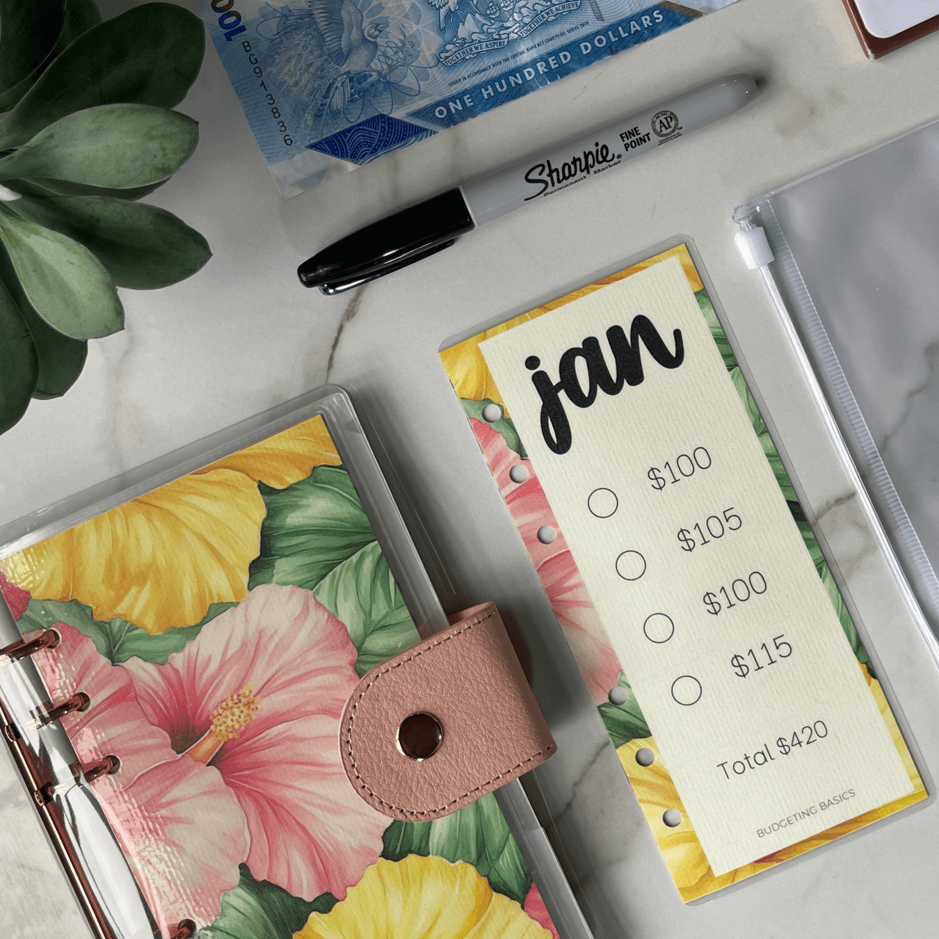 Monthly Savings Binder | Soft Cover