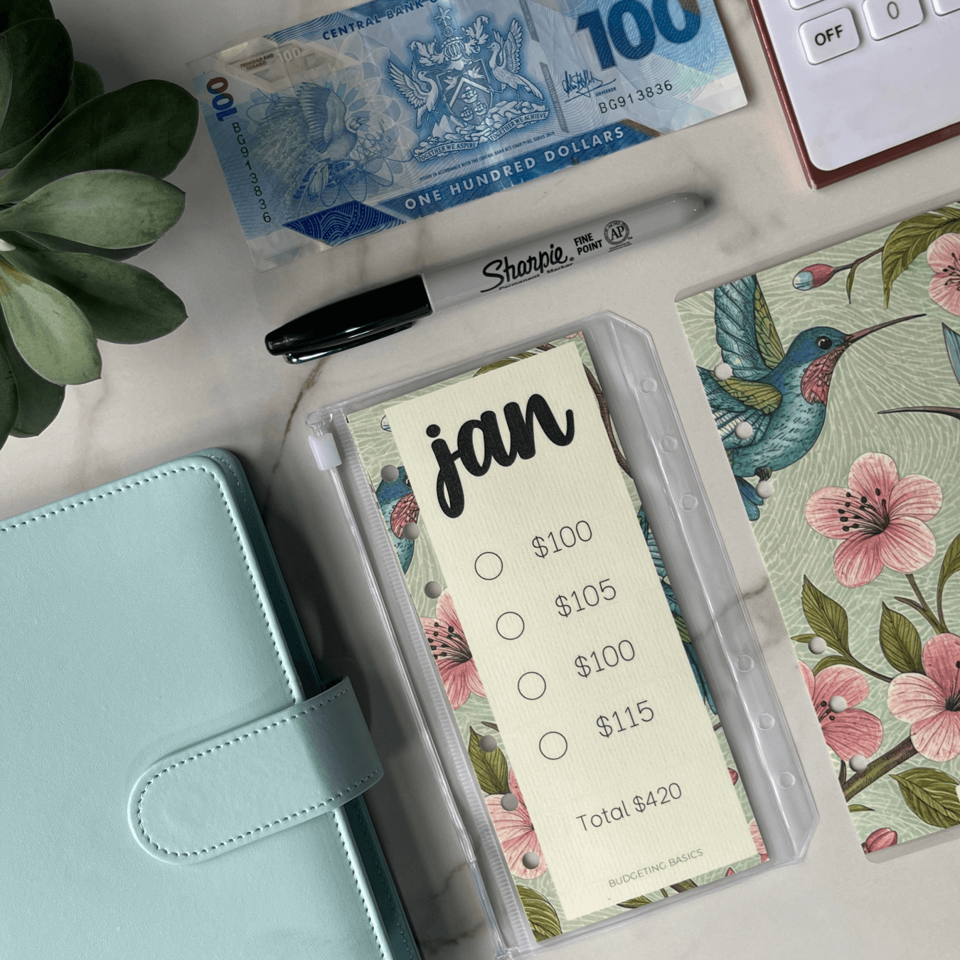 Monthly Savings Binder | Minimalist