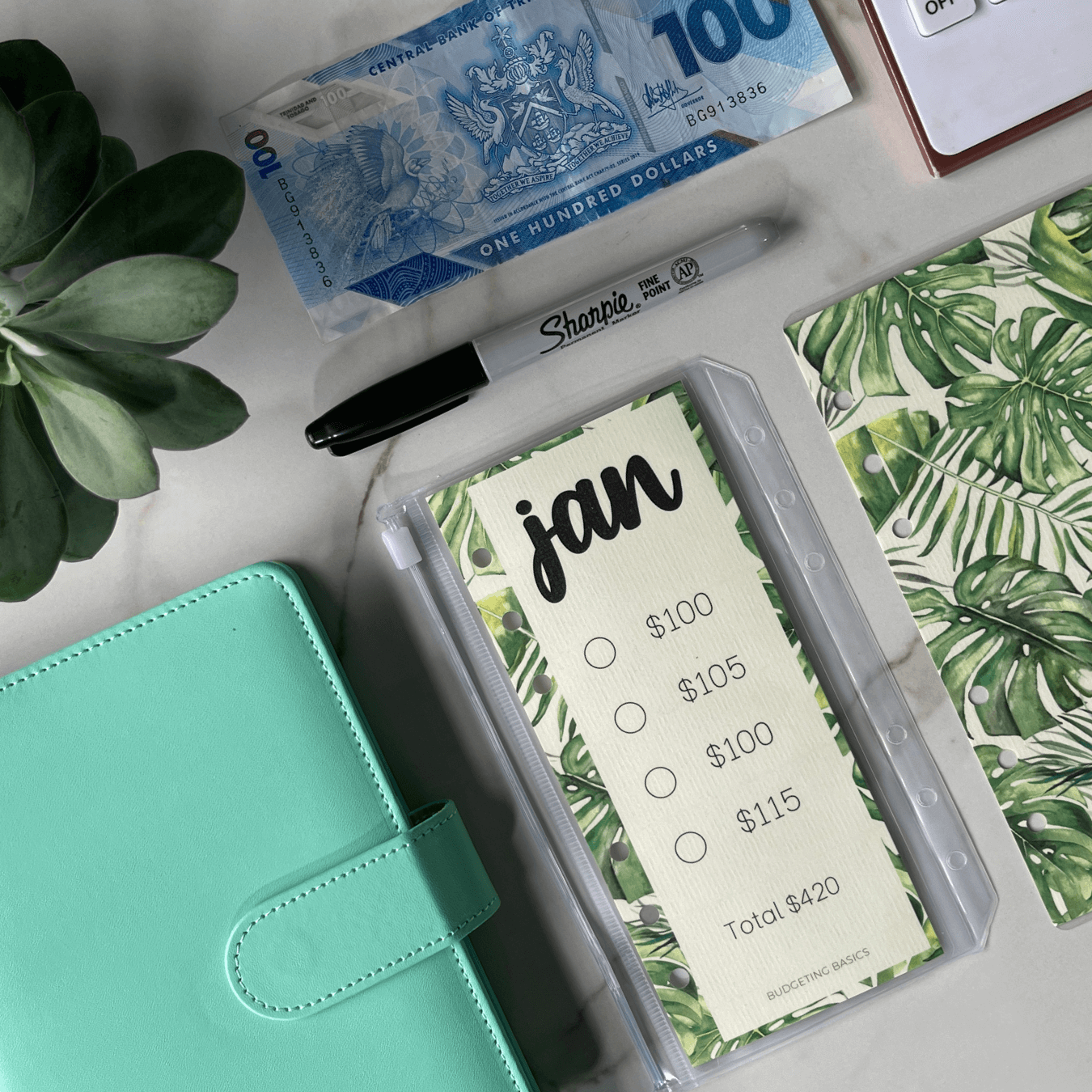Monthly Savings Binder | Minimalist