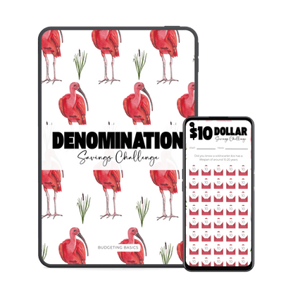 Denomination Saving Challenge | Digital Download