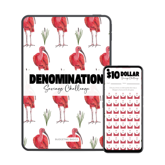 Denomination Saving Challenge | Digital Download