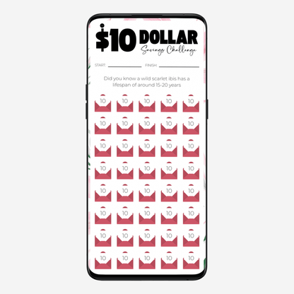 Denomination Savings Challenge | Digital