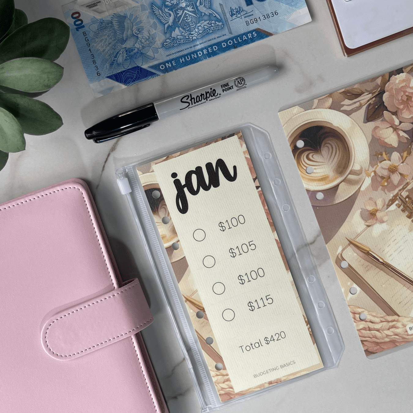 Monthly Savings Binder | Minimalist