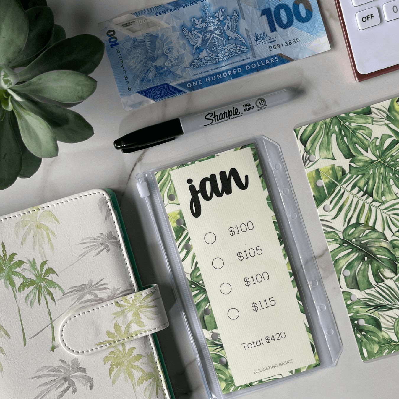 Monthly Savings Binder | Tropical